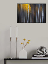 Curtain of Fall Poster och Canvastavla