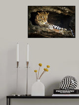 Rest Poster och Canvastavla