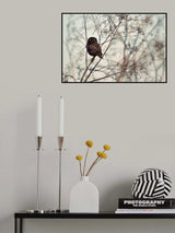 Look at Me! Poster och Canvastavla