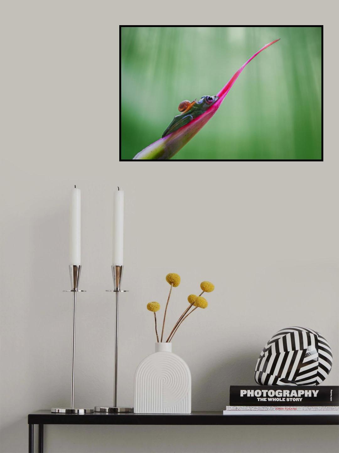 Story Snail and Frog Poster och Canvastavla