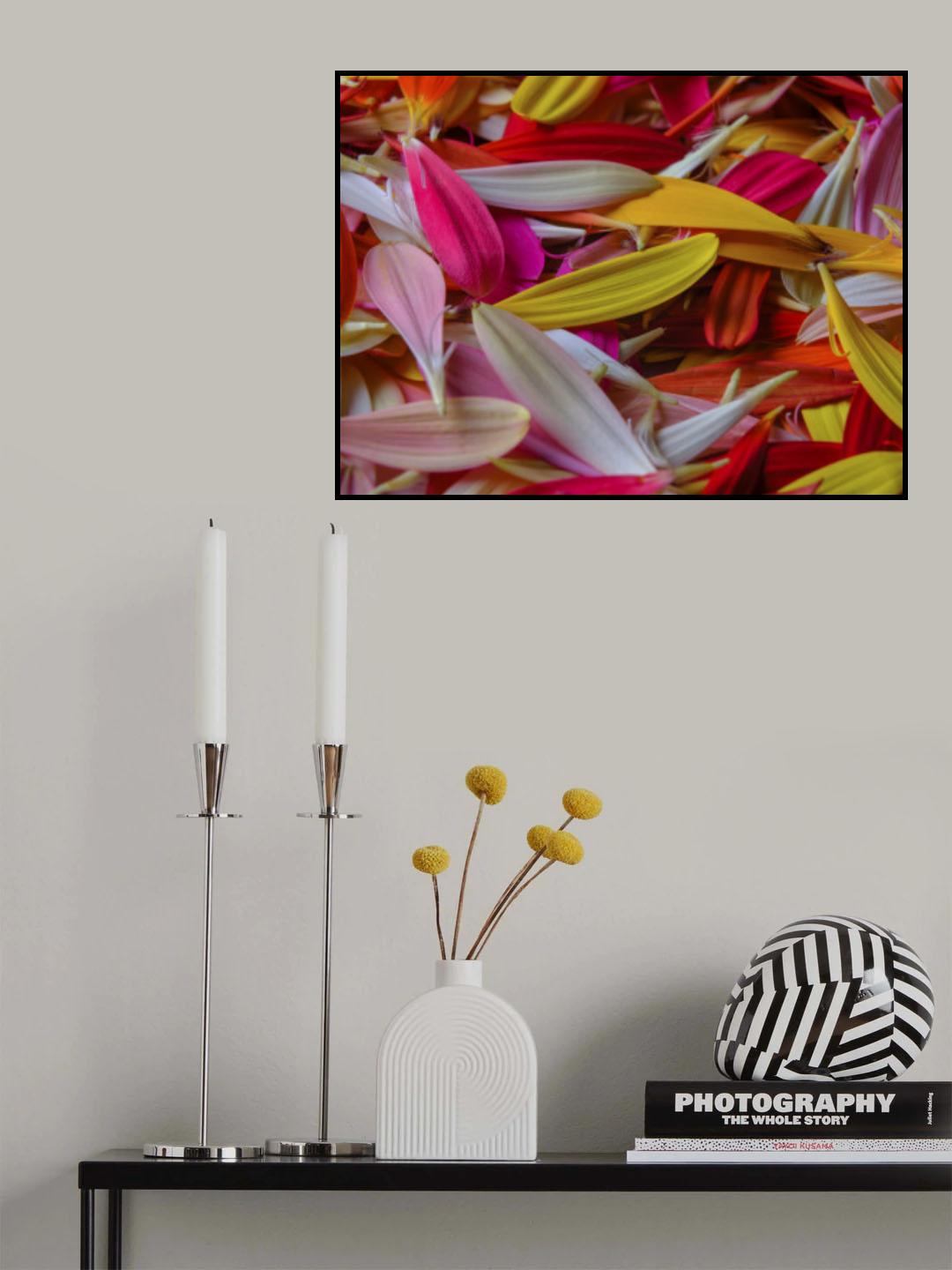 colorful flower petals Poster och Canvastavla