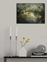 Frosty silence Poster och Canvastavla