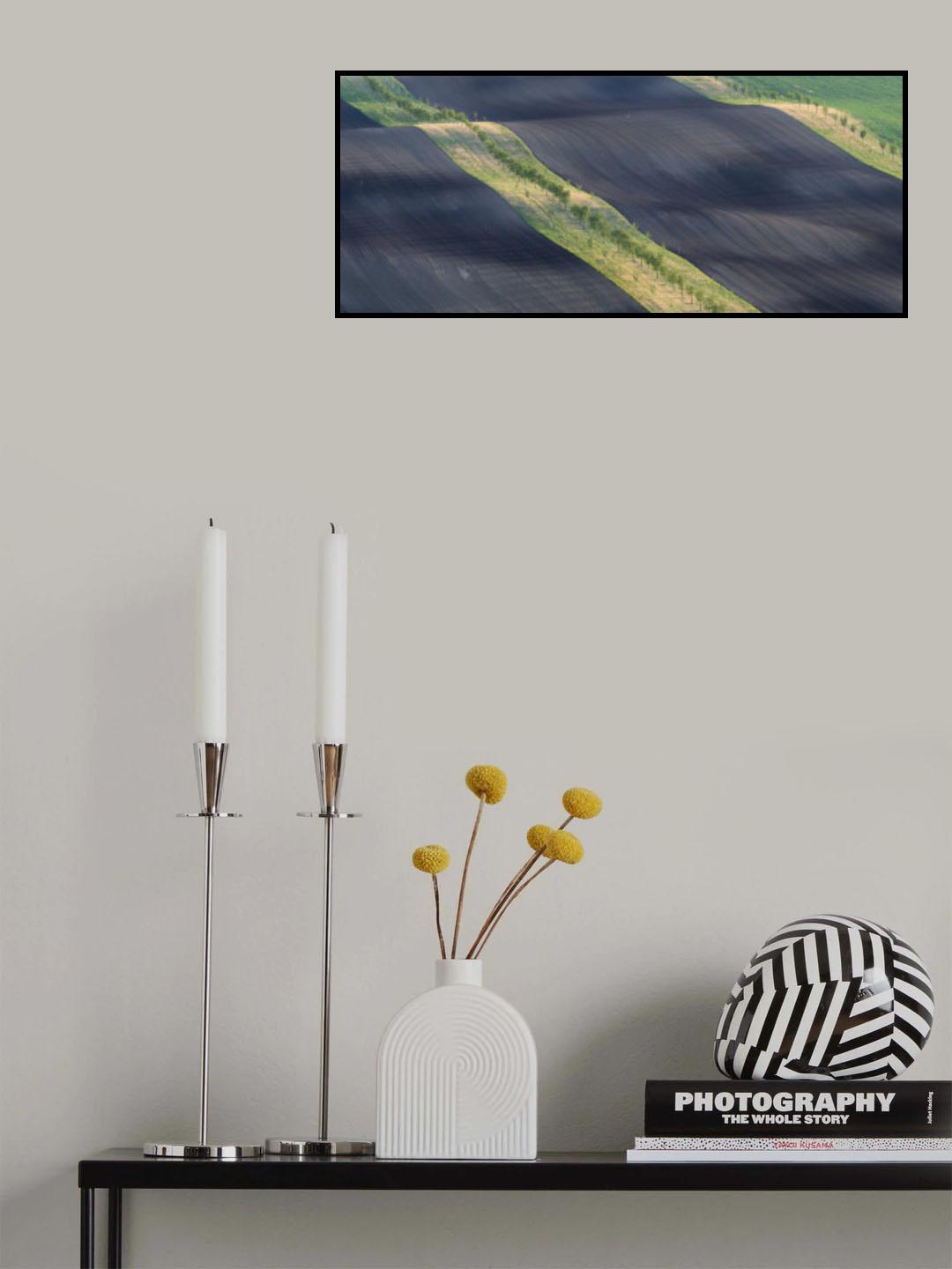 Moravian strips Poster och Canvastavla