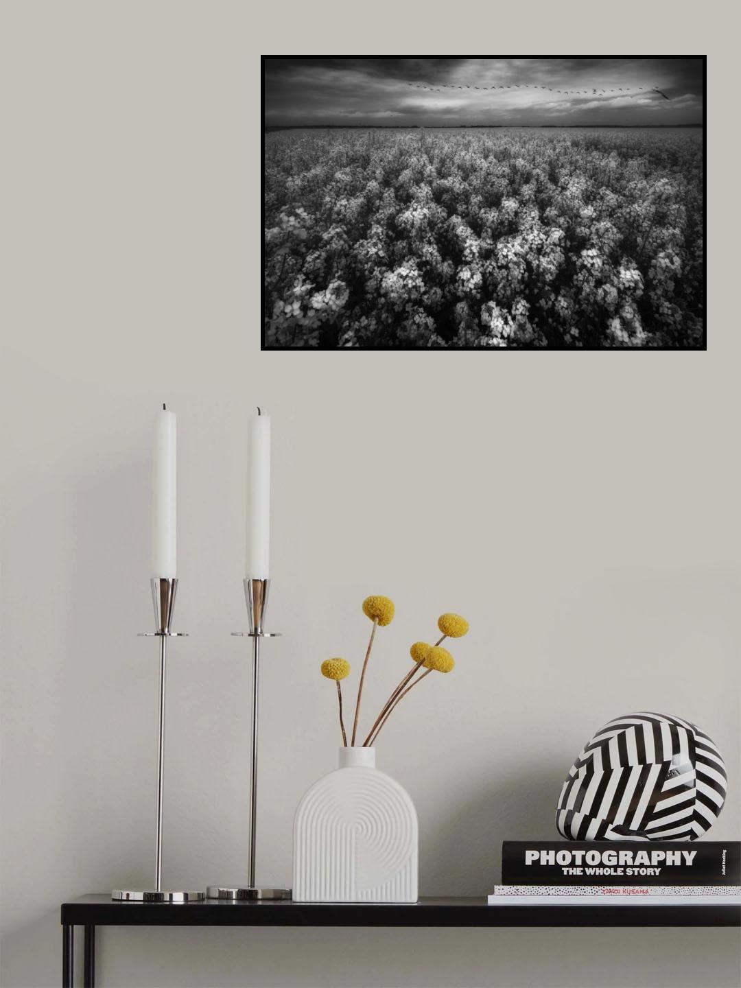 spring Poster och Canvastavla