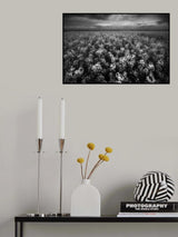 spring Poster och Canvastavla