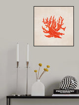 Coral Poster och Canvastavla
