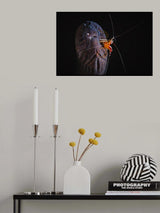 Cleaning session Poster och Canvastavla