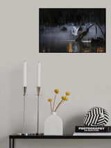 Misty Morning Poster och Canvastavla