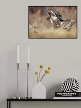 Killer look Poster och Canvastavla