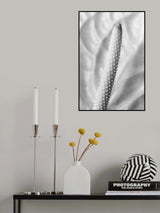 FLAMMINGO FLOWER Poster och Canvastavla