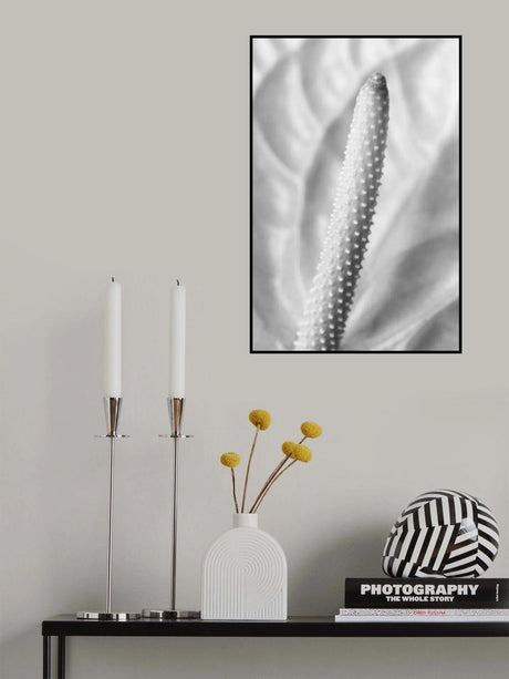 FLAMMINGO FLOWER Poster och Canvastavla