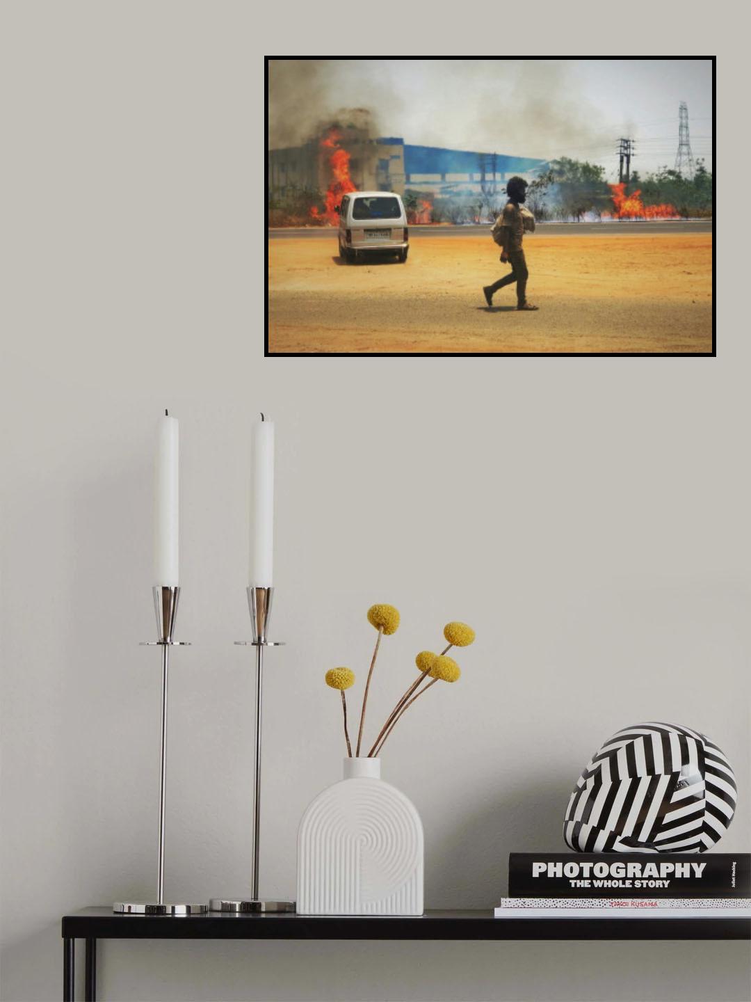 Bengal summers. Poster och Canvastavla
