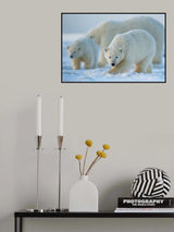 Gaze Poster och Canvastavla
