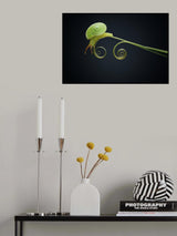 @@@ Poster och Canvastavla