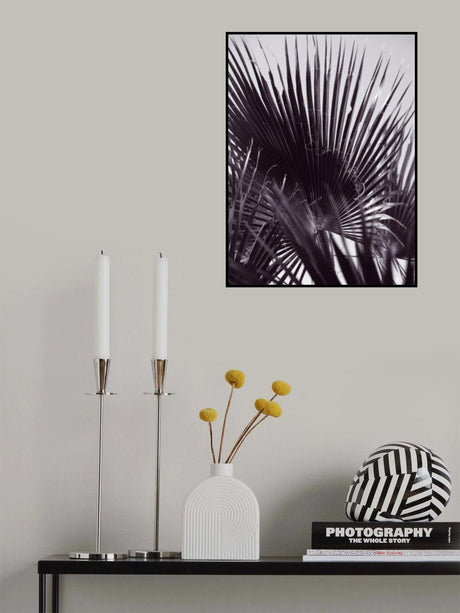 Miami Palm One Poster och Canvastavla
