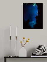 Enjoy the Silence Poster och Canvastavla