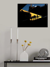 Evolution Poster och Canvastavla