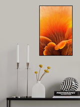 Fungal Forest Poster och Canvastavla