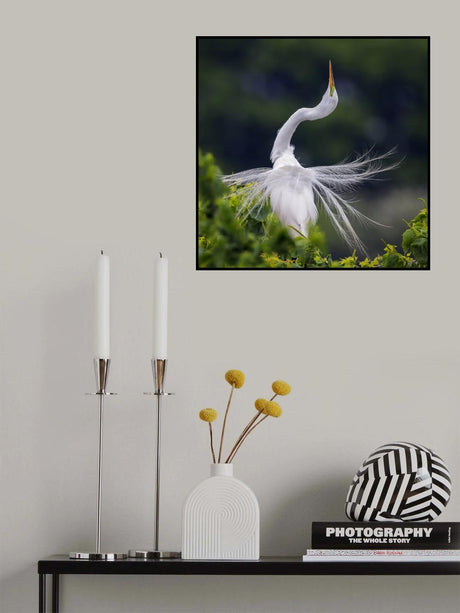 Poster och Canvastavla