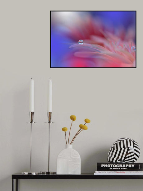 Colorful Explosion... Poster och Canvastavla