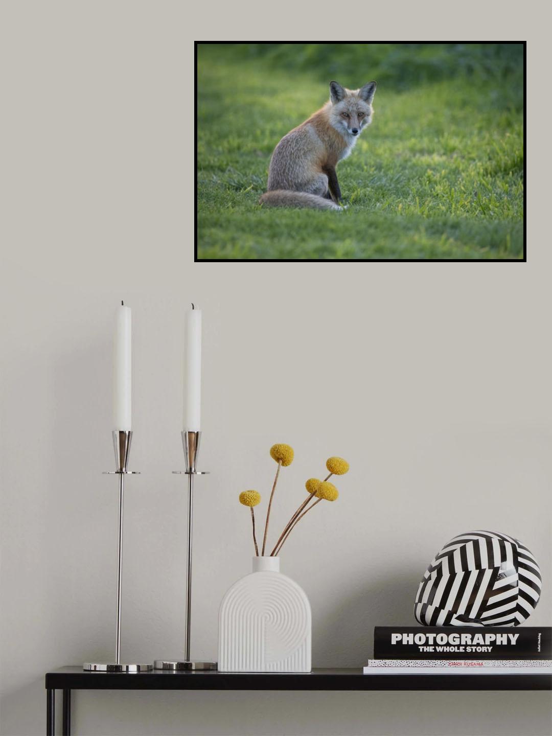 Who are you? Poster och Canvastavla