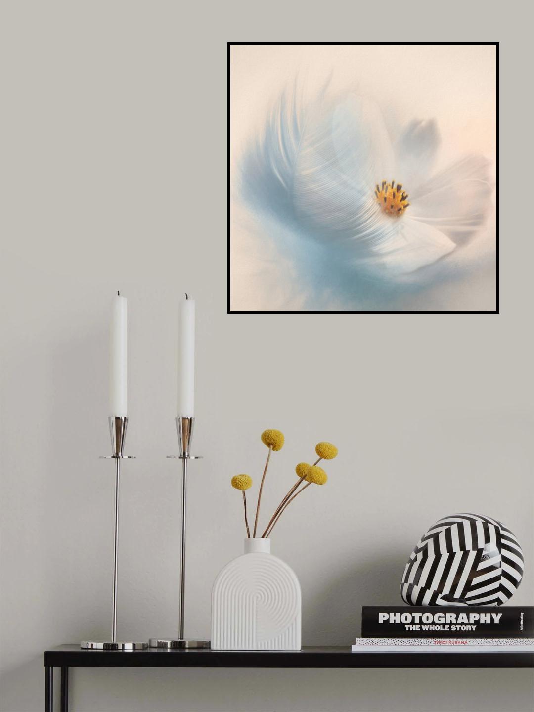 Blue Feather with White Cosmo Poster och Canvastavla