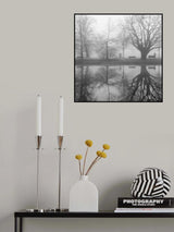 The park in Februari Poster och Canvastavla