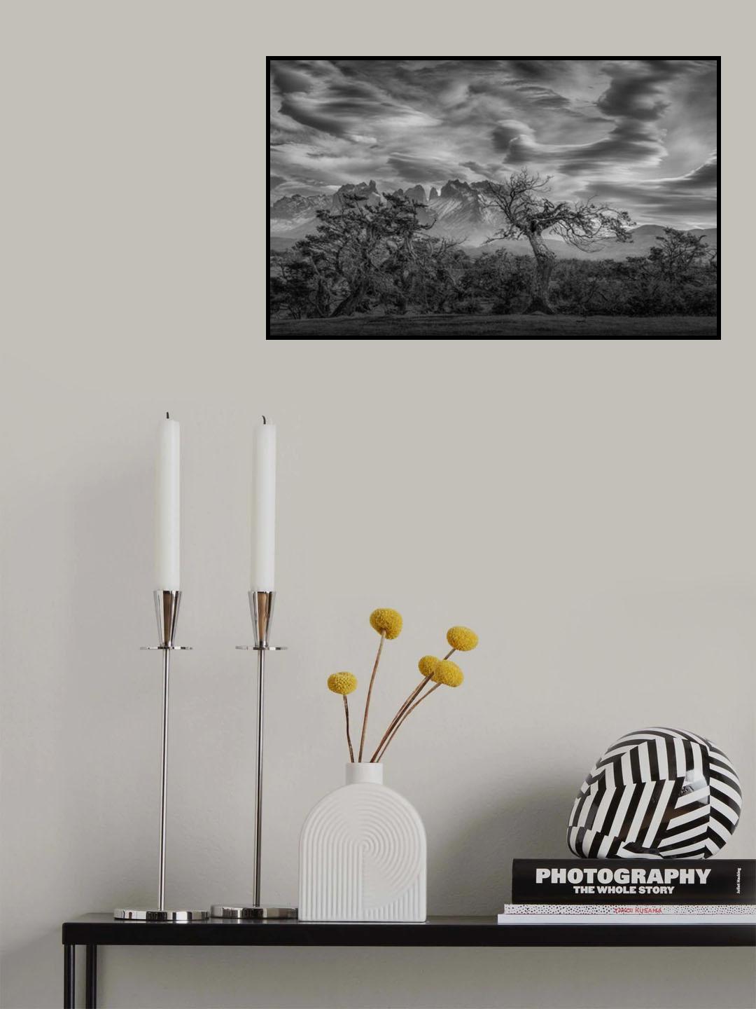 Trees below Patagonia skies Poster och Canvastavla