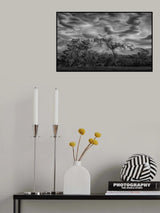 Trees below Patagonia skies Poster och Canvastavla