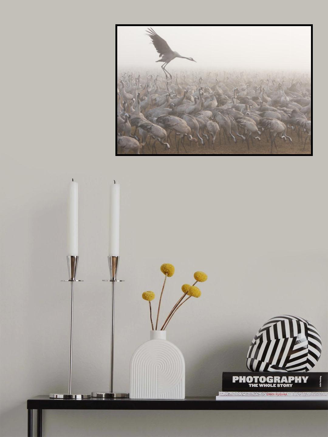 Poster och Canvastavla