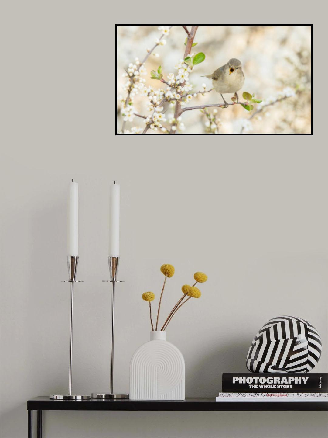 Poster och Canvastavla