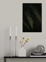Botanical Series - Fern 1/2 Poster och Canvastavla