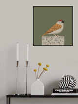 Sparrow Poster och Canvastavla