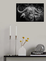 Getting bugged! Poster och Canvastavla