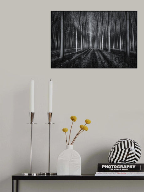 Into The Forest Poster och Canvastavla