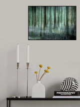 Forest light Poster och Canvastavla