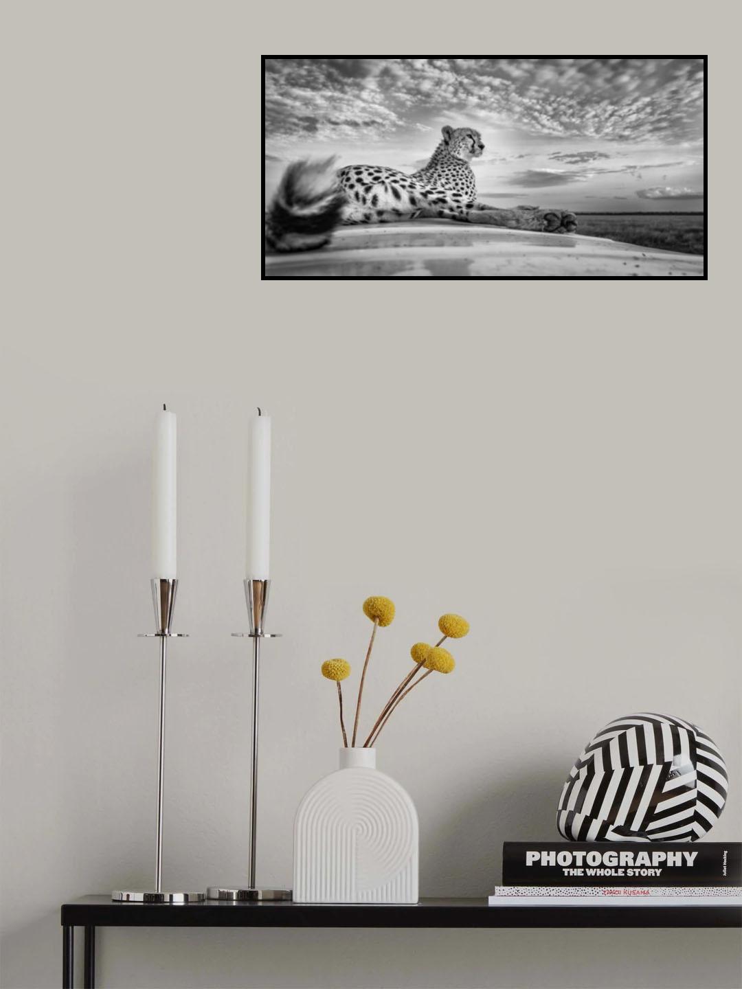 Scanning the savanna Poster och Canvastavla