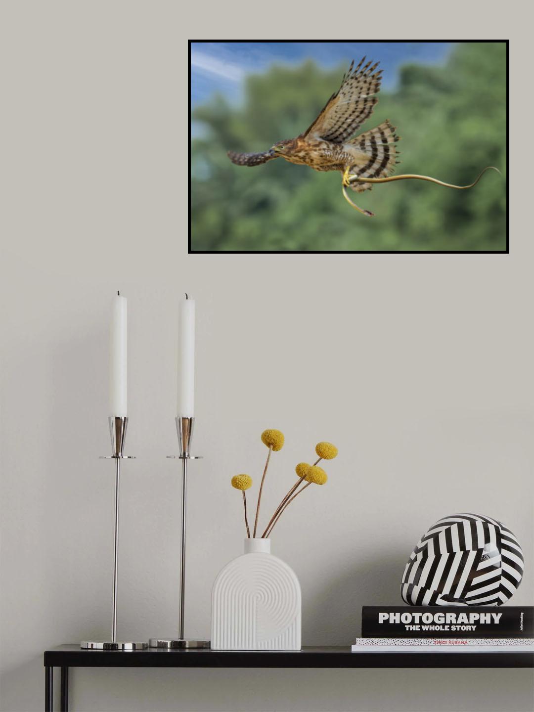bring the prey on air Poster och Canvastavla