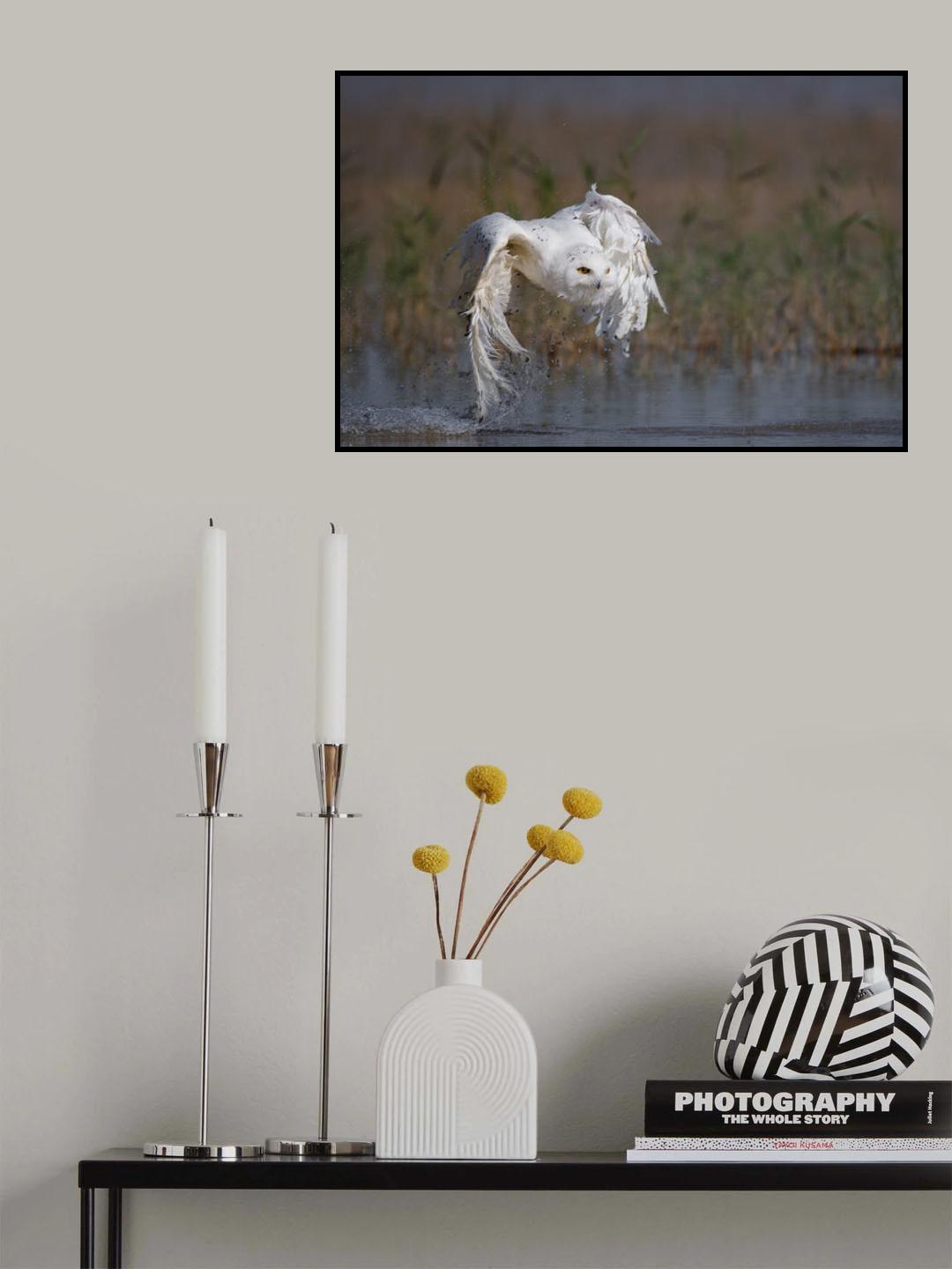 Splash Poster och Canvastavla