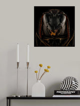 The Dark Knight Poster och Canvastavla