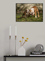 Busy with a stick Poster och Canvastavla