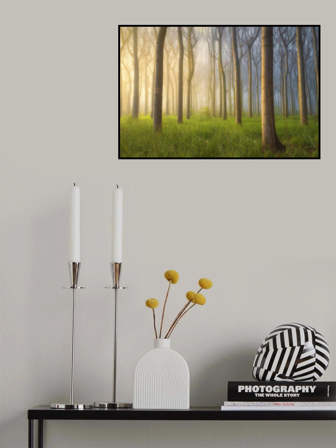 Misty Morning Poster och Canvastavla