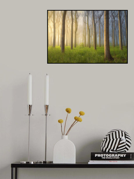 Misty Morning Poster och Canvastavla