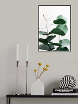 Eucalyptus 5 A1 Poster och Canvastavla