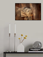 SAFE &amp; WELL CARED Poster och Canvastavla