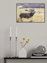 Scream in the rain Poster och Canvastavla