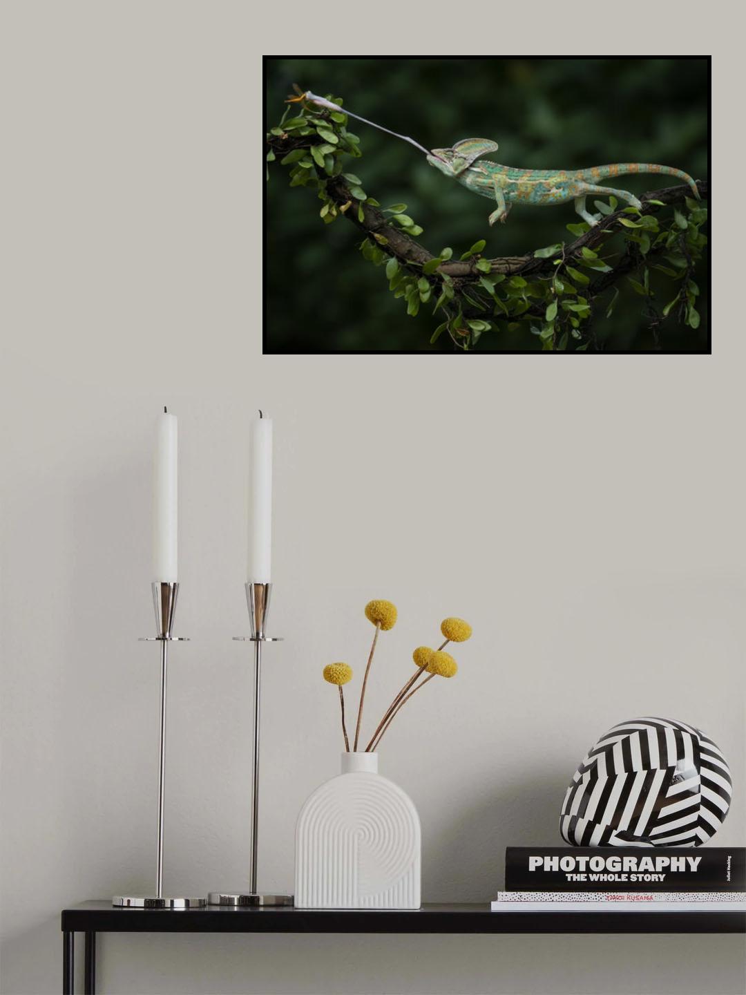 Bulls Eye Poster och Canvastavla