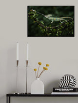 Bulls Eye Poster och Canvastavla