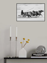 Faster than wind Poster och Canvastavla
