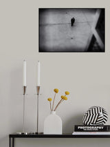 single man Poster och Canvastavla